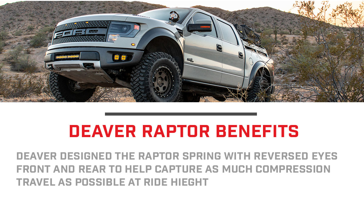 Raptor Deaver Springs